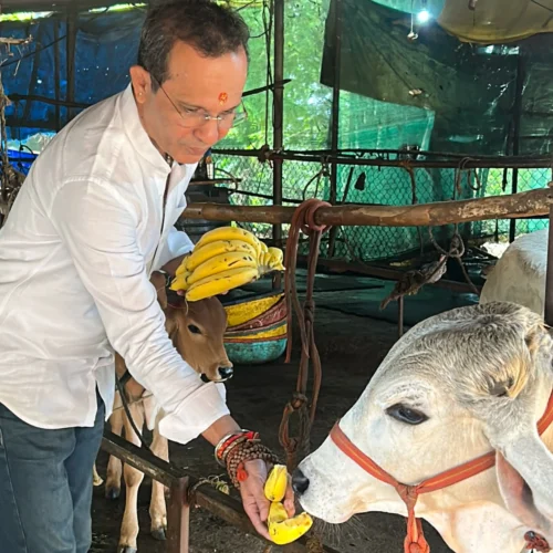 Untitled design (10)